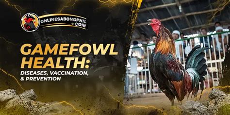 gamefowl medical care|Gamefowl Health: Diseases, Vaccination & Prevention.